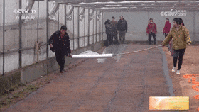 173941tbw457zchulghfkw.gif
