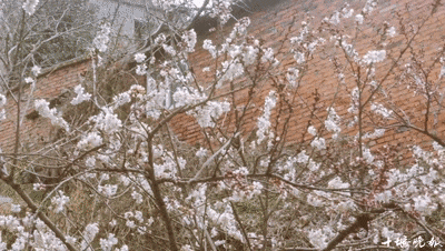 141551valry5yainqi5y3n.gif