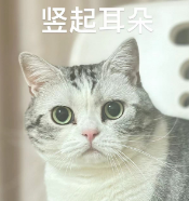112047dq4dkpoewfn2eeq7.png