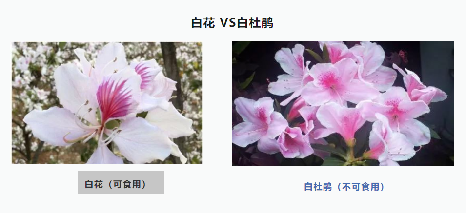 110815cm64fff2jkfkhxcx.png