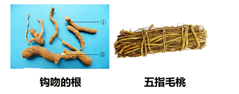 110815wepa33zzlc6aao3l.png