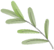 171235yk28c0ydzogoqo8z.png