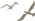 095303ouzt5ar5a1u1urar.png