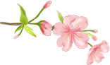 172642tcgg0heawqctbcbe.png