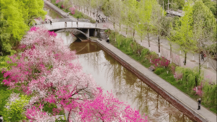 094642sj9j2z12fbf2takq.gif