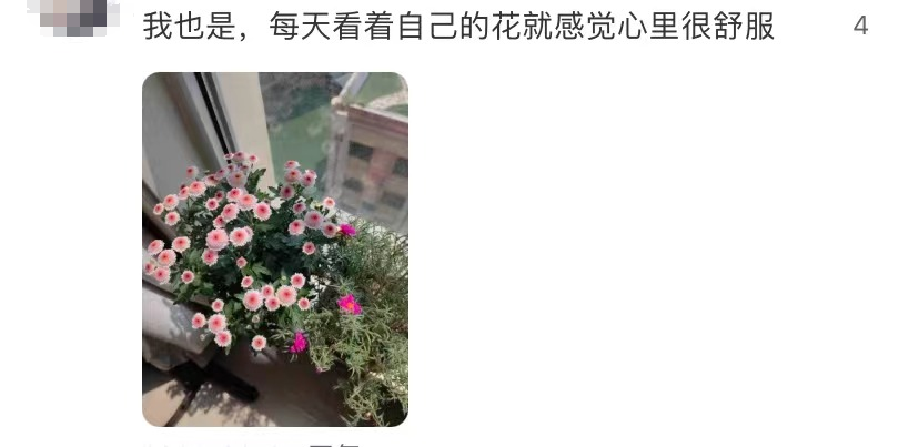 172225b98hbff89ht7788u.png