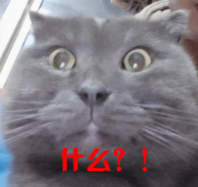 141731afnpff1faz1lhzsz.gif 141731afnpff1faz1lhzsz.gif