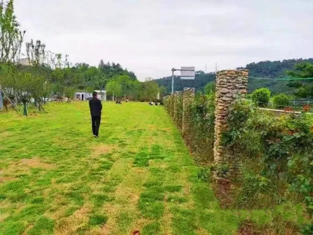105112uk827h7602a686u4.jpeg