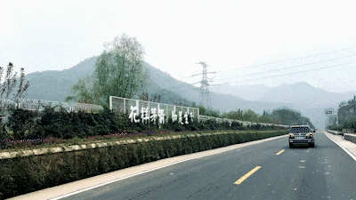 105113vpeleg45424tyeaf.gif