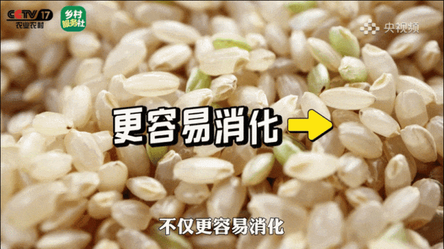 111145f26ditv426626ja4.gif
