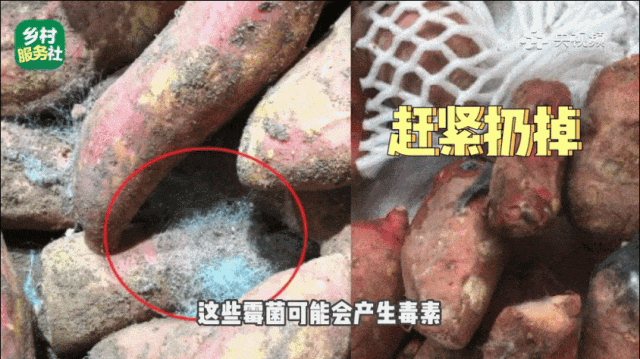 111145yq3ccabucq8w7ii8.gif