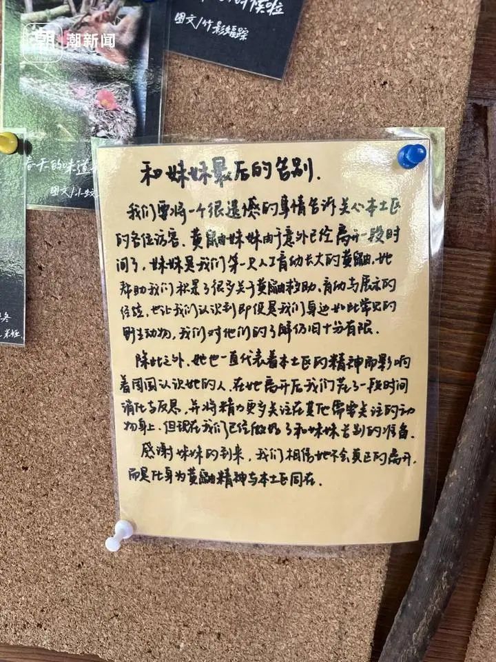 143725gkrai3b3j1drwqaq.jpeg