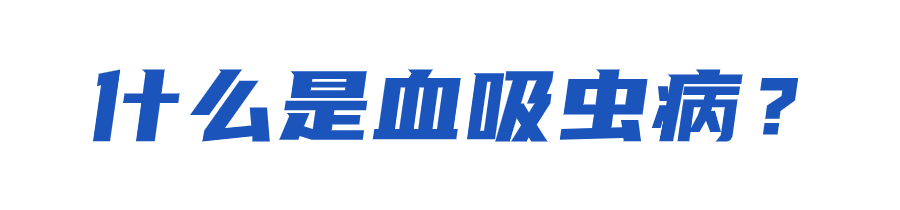 172550cy7q7rkph1r35vk1.png
