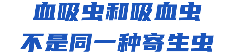 172550fxcrrc00fnxnd0dm.png