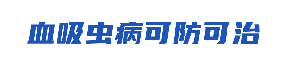 172550lyau8oaj8v0oozfb.png
