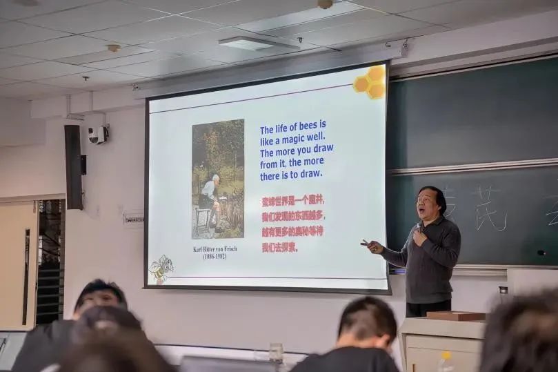 160355dzxgpaxcpiz8sb8v.jpeg