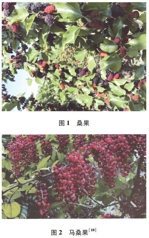 094517hw9xexbkwkxvkfwg.png