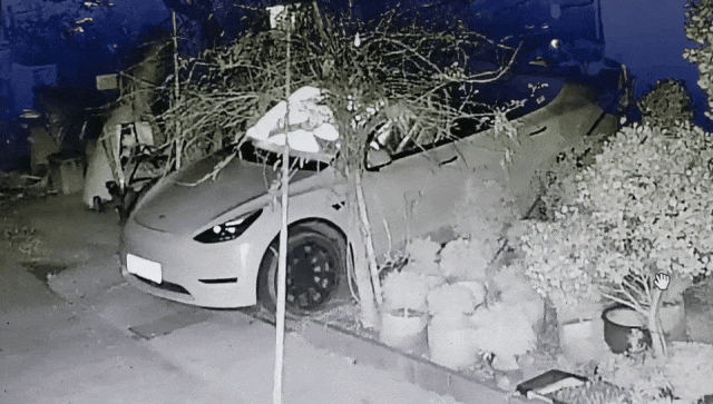 150202dy3oddzm2dek7adm.gif