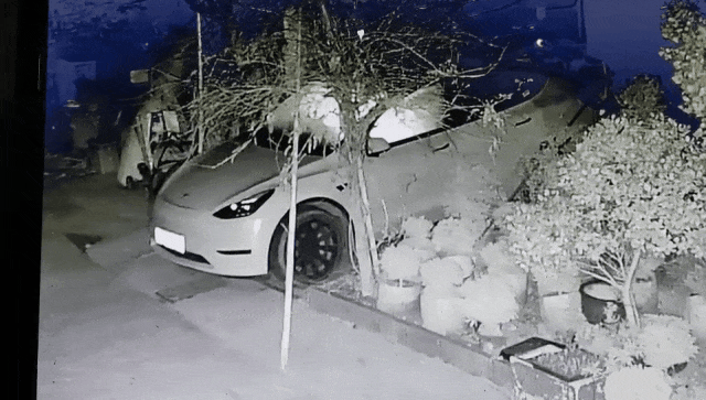 150202yeuunienuzilz1dq.gif