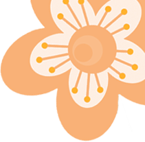 170011ns6zwchco41u650o.png