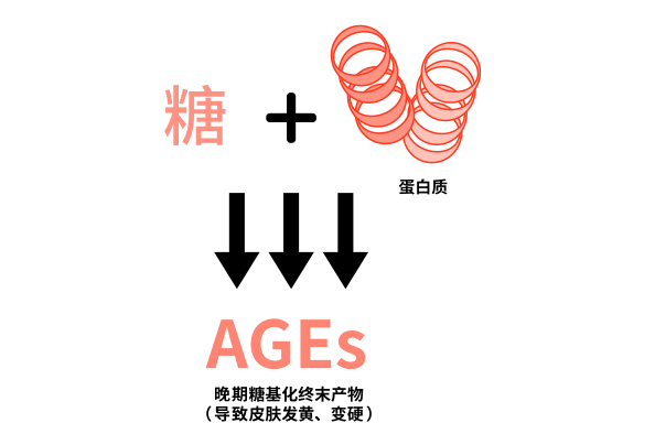 101309uo1qd922nvq8pn88.png