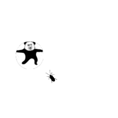 165337nziqyqq8c8cisz8c.gif