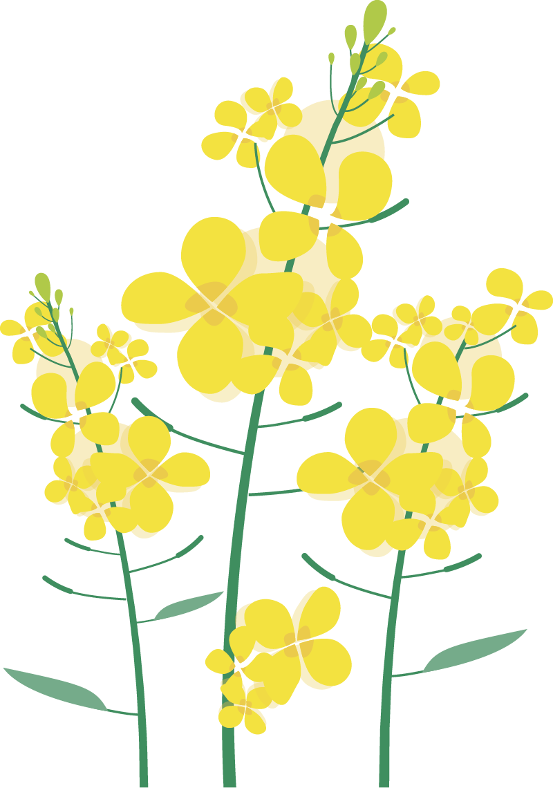 153907b4pas34eoj3nn4cs.png
