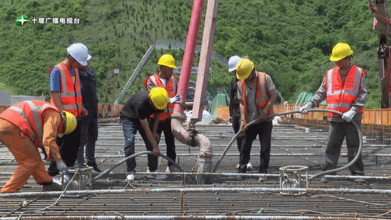 174215r2ragn2cz4ea446a.gif