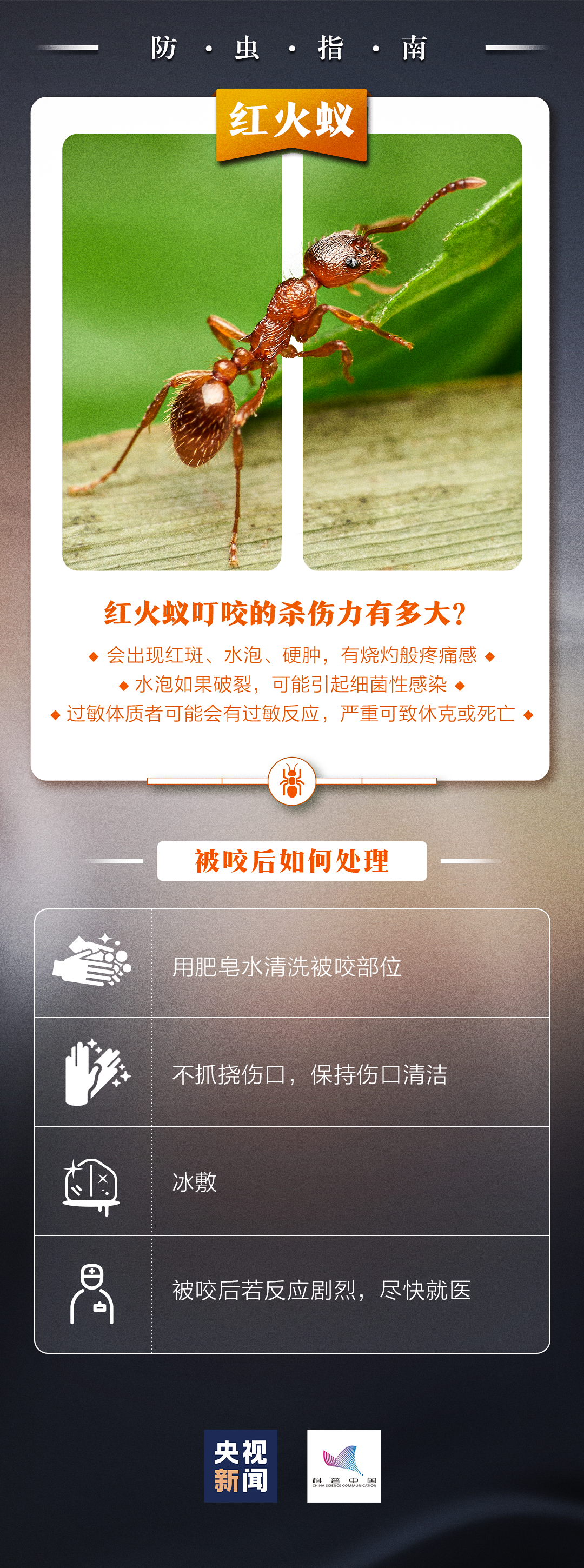 150712g7he0geeprc0gqh0.png
