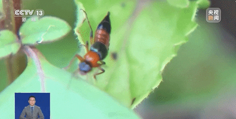 150712kt98799xwx26xw7z.gif