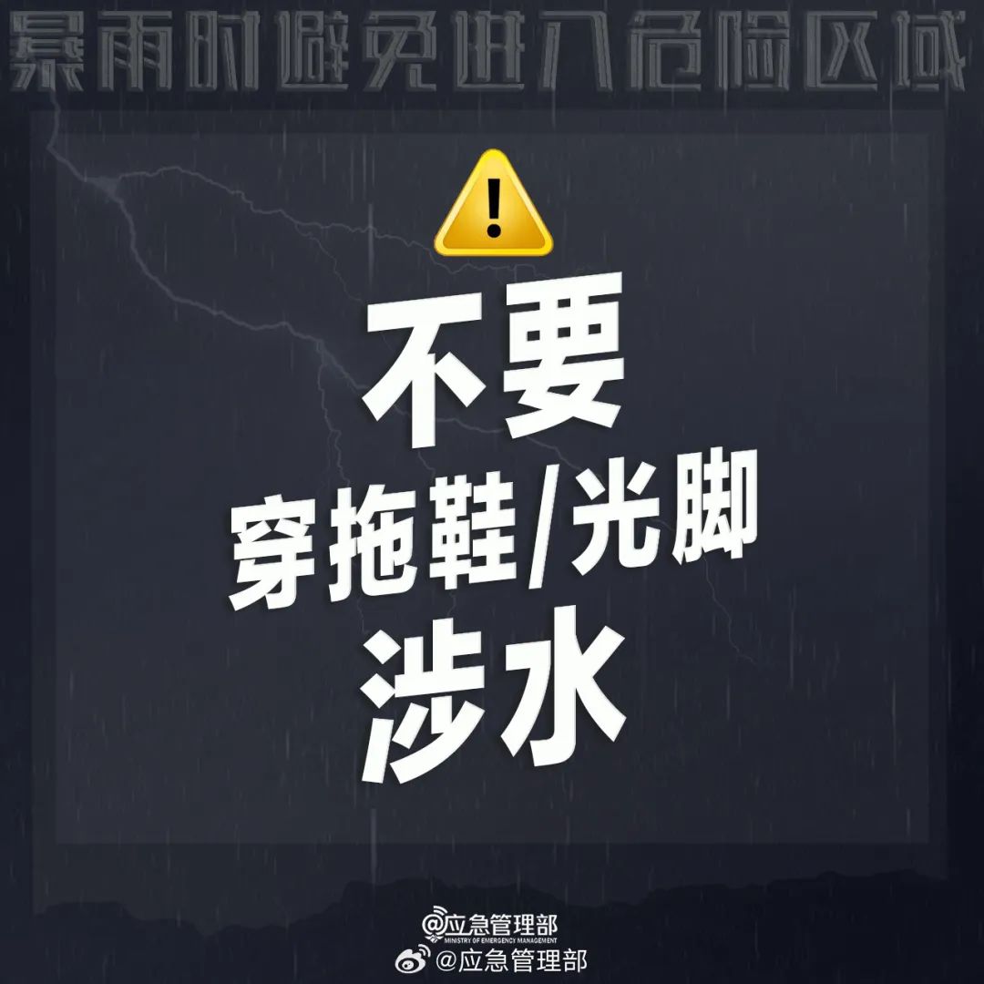 153328fl31lp4a78873a77.jpeg