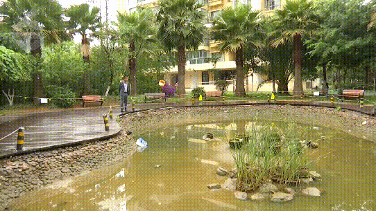 154048pu9jajzibizsuluo.gif