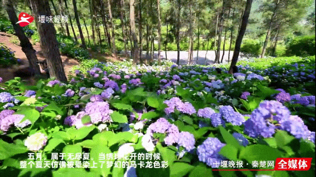 162717nsnr8b5m5jzgcj6i.gif