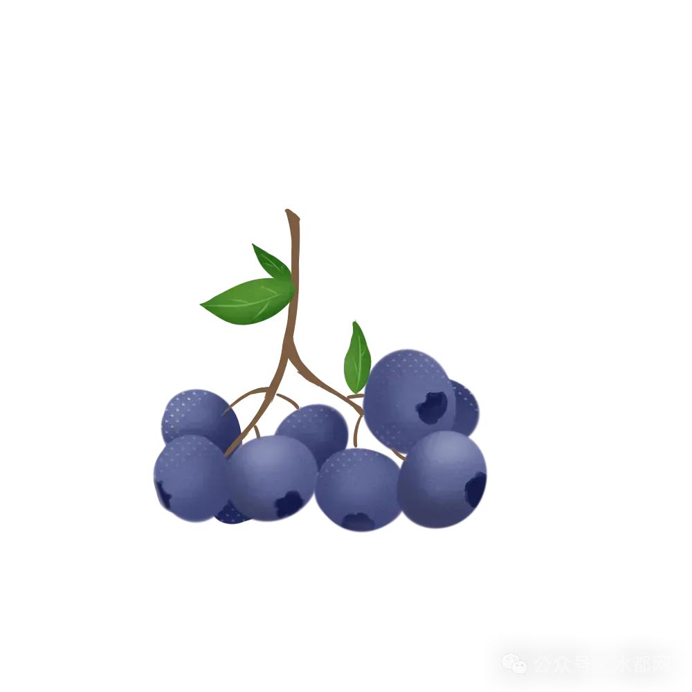 172510my6wtlvyjjytj276.jpeg