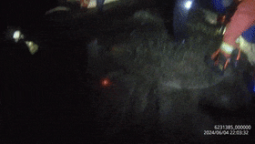 165403t3gz5xaeny4i5j3g.gif