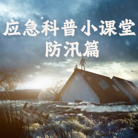 160533snz8ph8f1t7tut76.jpeg