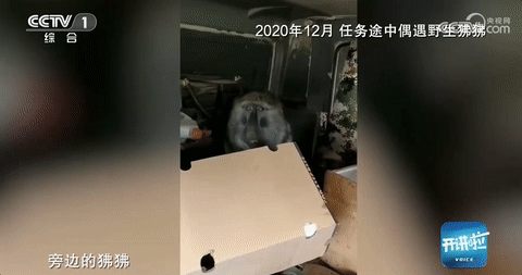 140407lqzbg1lccylf8h6a.gif