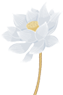 161112kg8c9111sl1rtug9.png