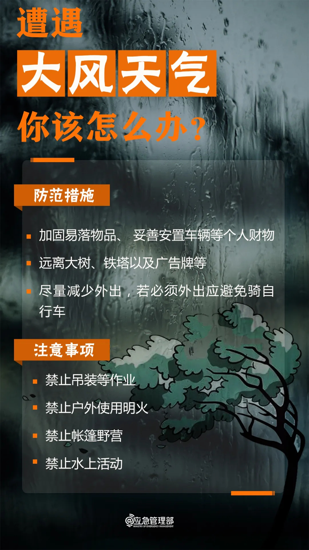 173117c5xpoxo8tofomfxz.png