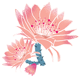 175556eiicex02x6joip6b.png
