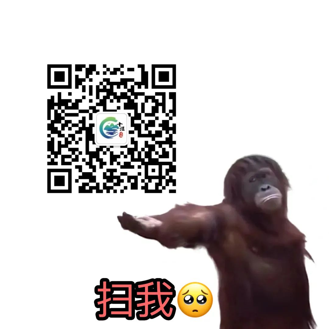 140935n49u37xomz446kcm.jpeg