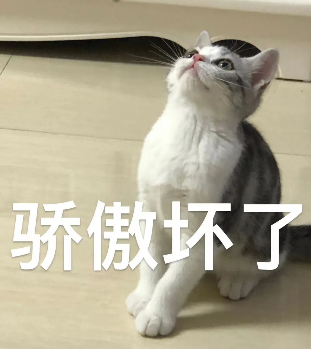 153543u3f9qifaqlf95fof.jpeg