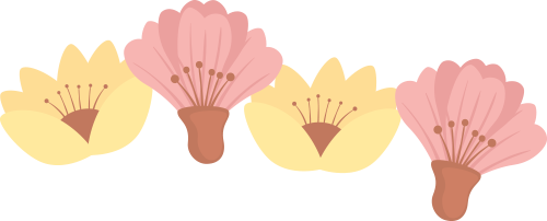 145608hgirciyplp3ook3i.png