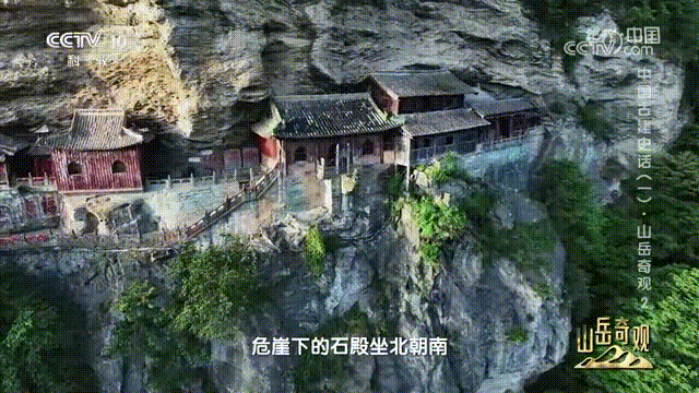 172105q6g43h99z52ehhz7.gif