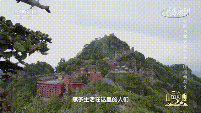 172238bl3nwd2zqncld1ff.gif
