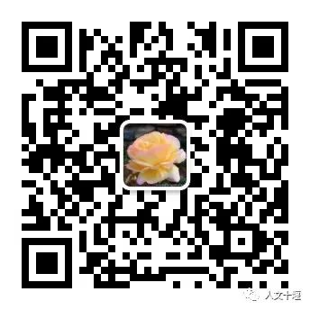 172238zm00qffm5w00mbjd.jpeg