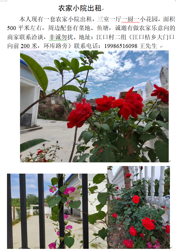 农家小院出租.png
