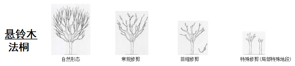162034ijfn9ingsj5n91de.png