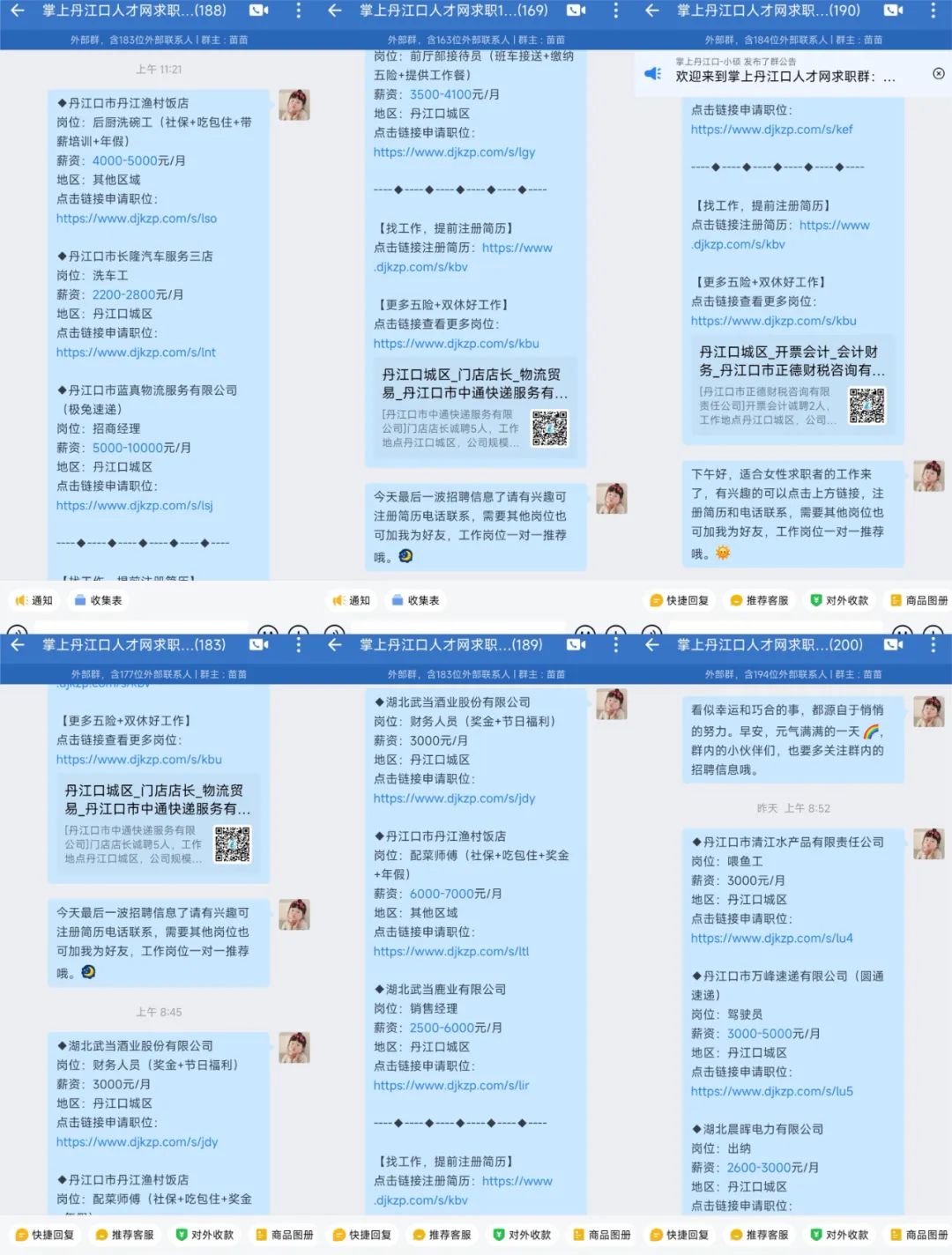 174733t5obba81bqq6z1va.jpeg