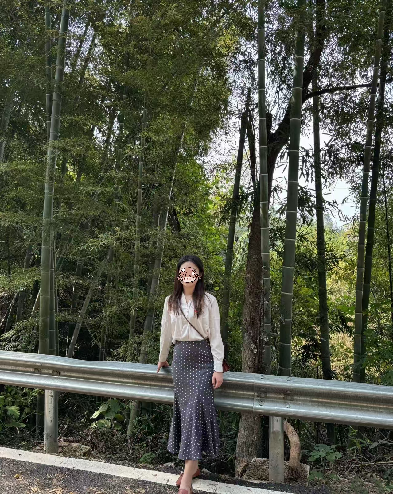 微信图片_20241212092921.jpg